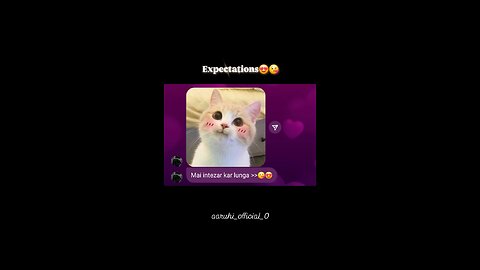 Chat funny video