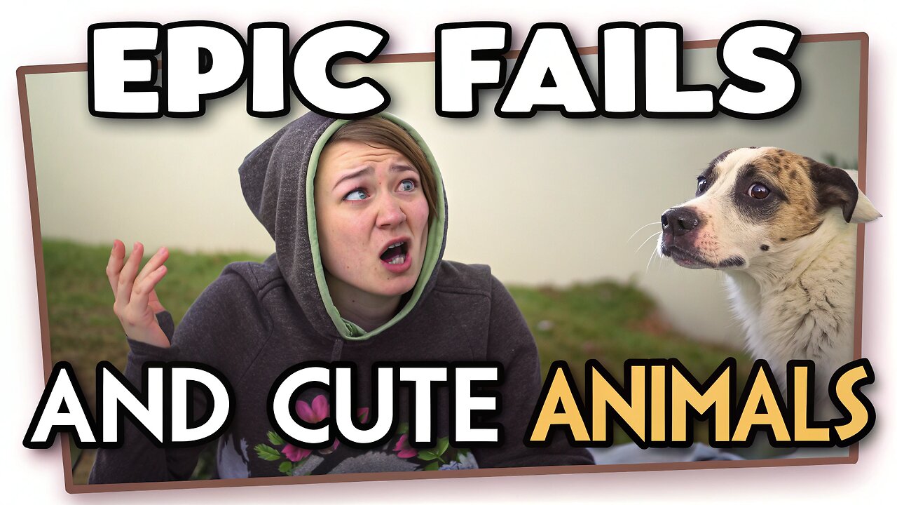 Funny Fails and Cute Animals part 15 Compilation #FunnyFails #CuteAnimals #ViralVideos