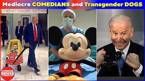 Trump Warns Zelensky; $241M Wasted on Transgender Animal Experiments & More Biden Waste Revealed! 🚨