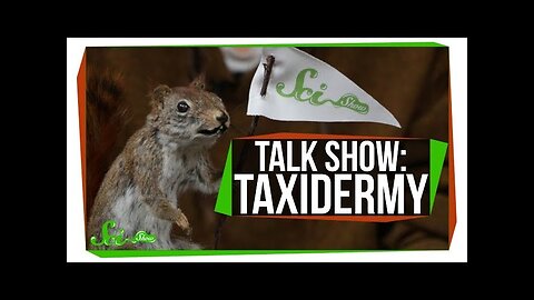 Learn To Taxidermy | SciShow Talk Show