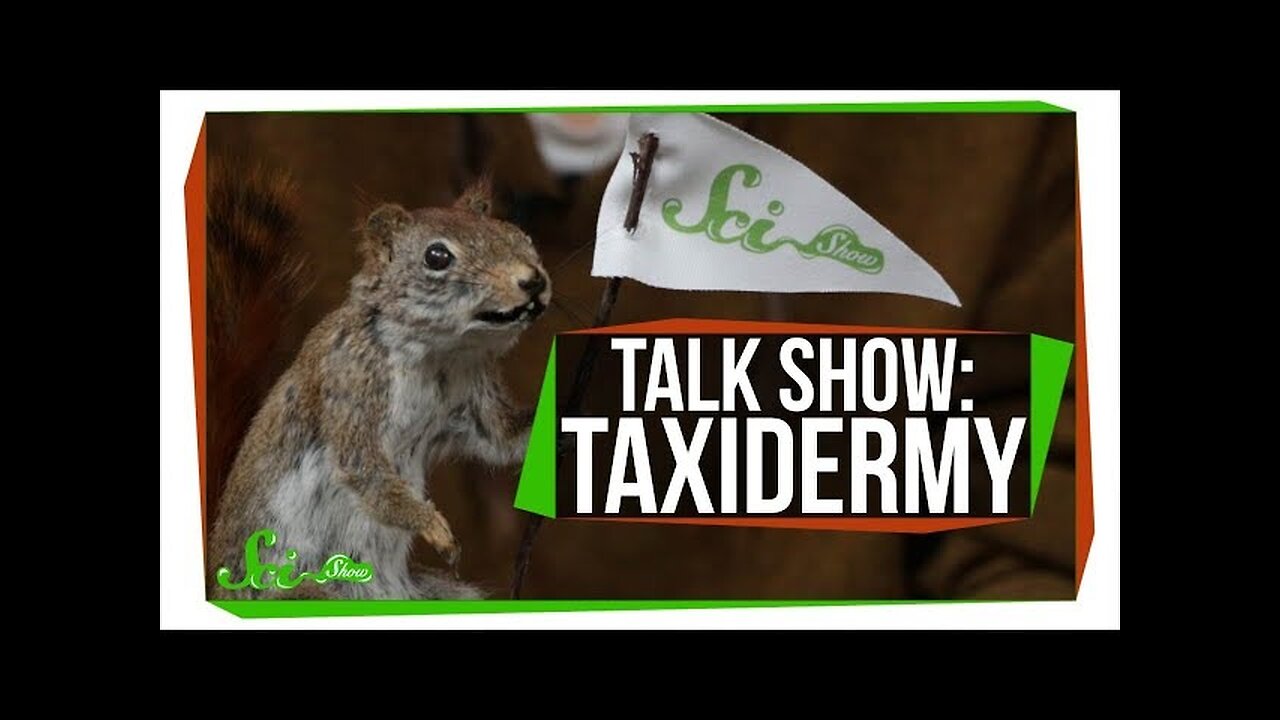 Learn To Taxidermy | SciShow Talk Show