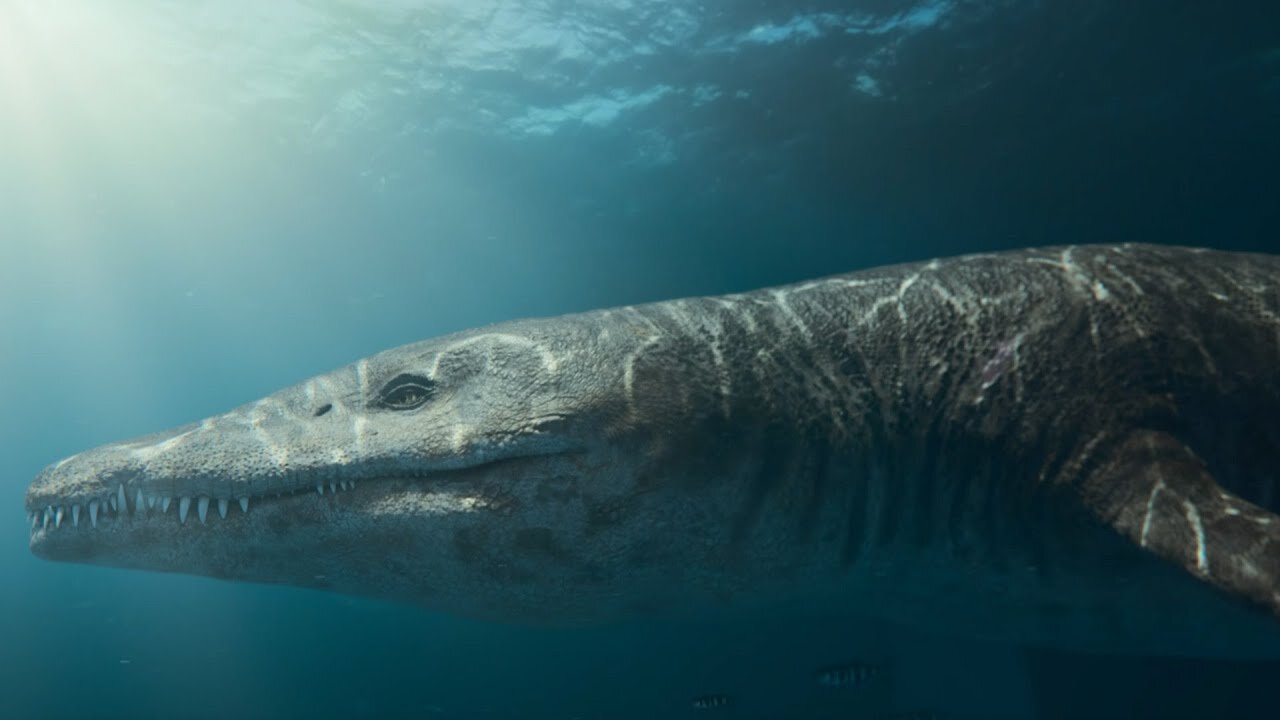 The Tyrannosaurus Rex of the Seas