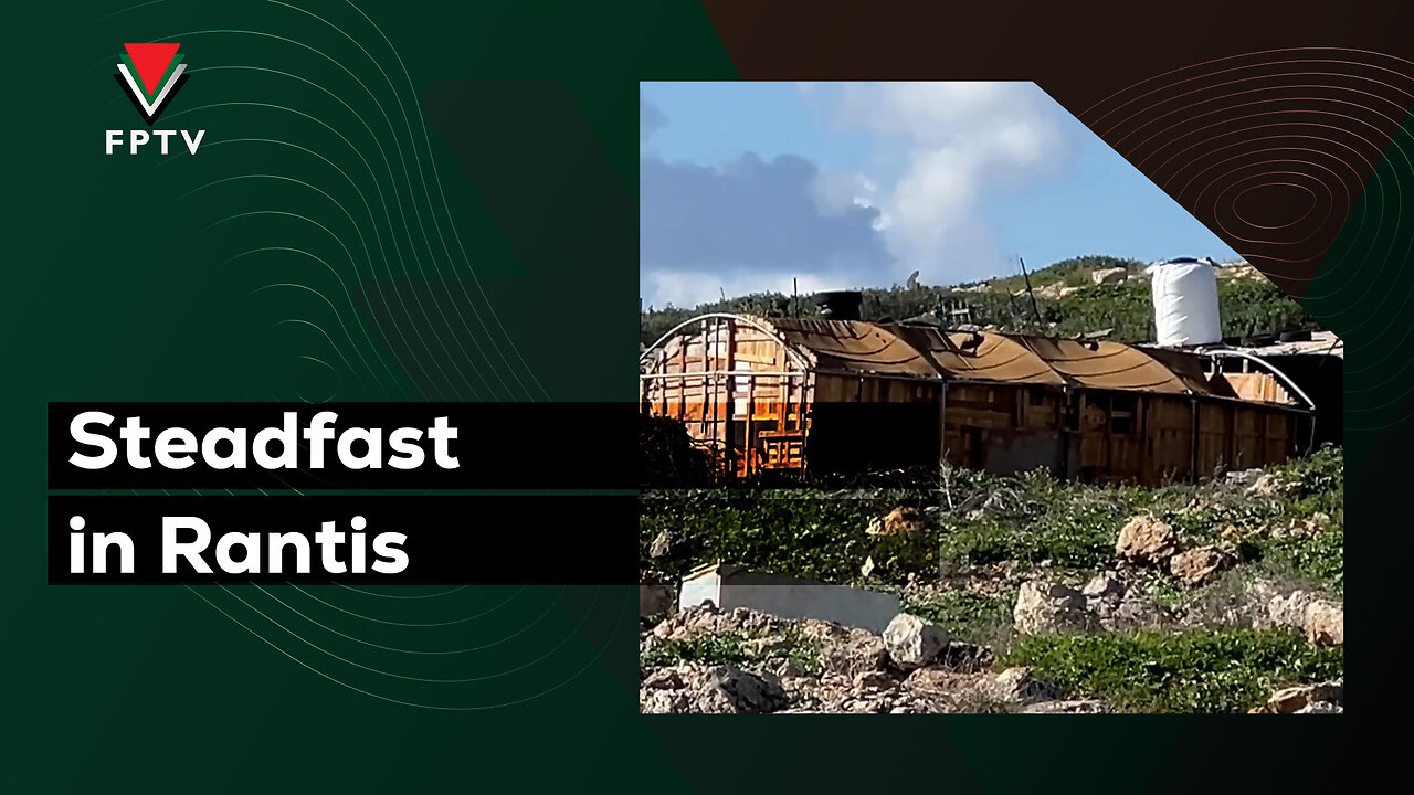 Steadfast in Rantis