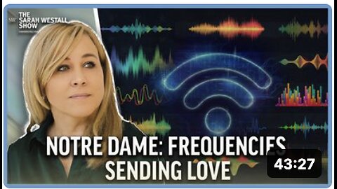 Internet Utiliizing Health and Love Frequencies vs Damaging EMFs – The Future can be Amazing