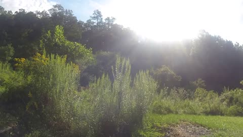 Tuning up for dove season