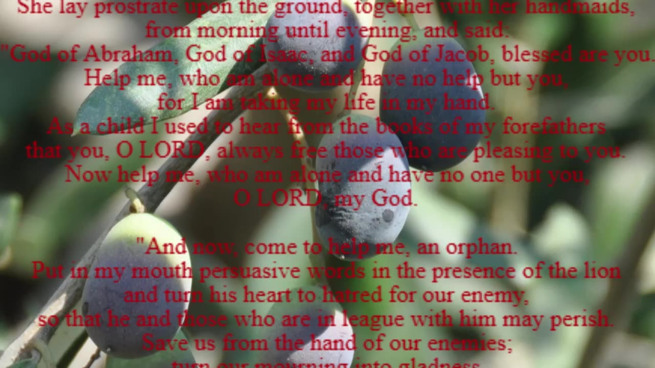 A reading from the book of Esther, C:12, 14-16, 23-25