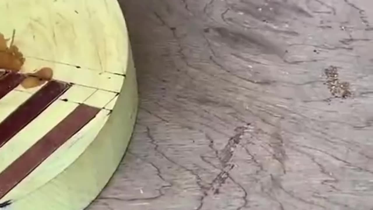 Diy