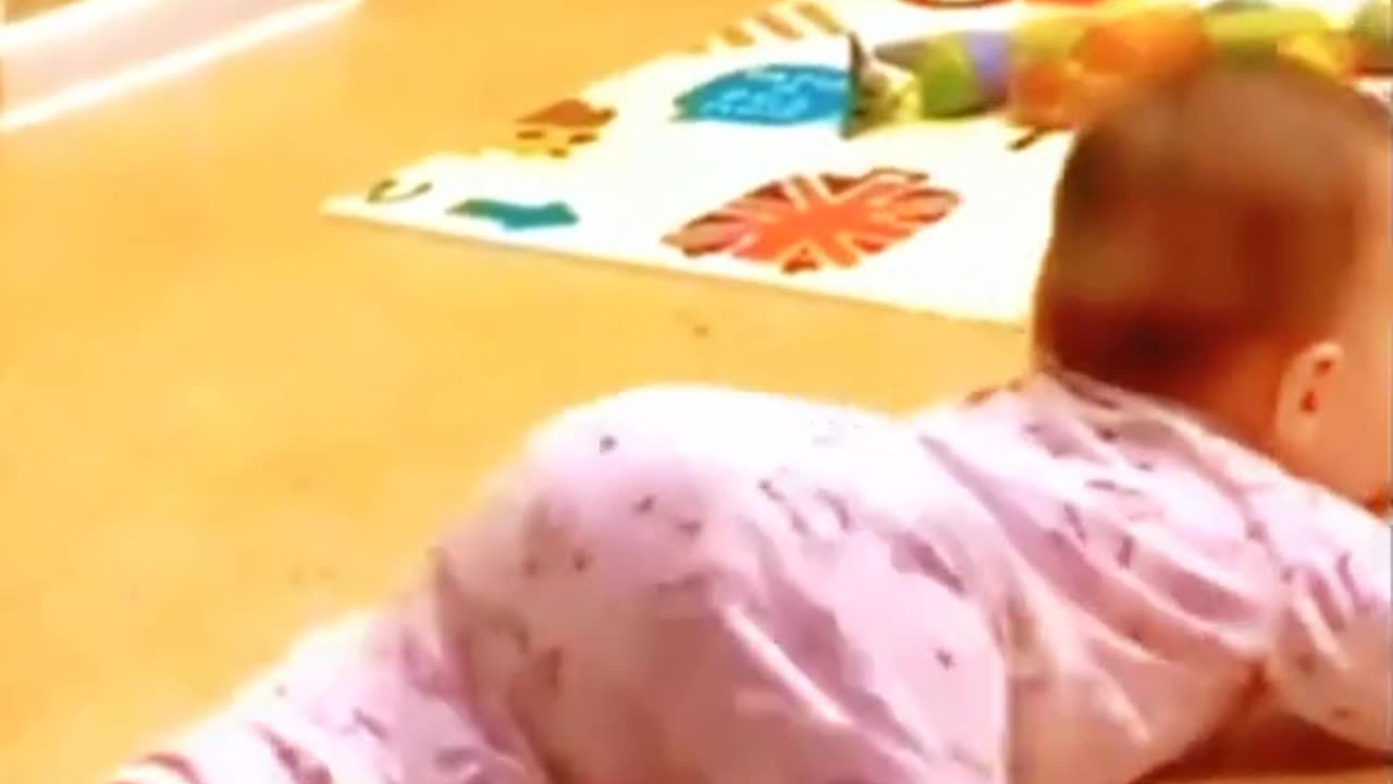 Cute Baby Videos| 033