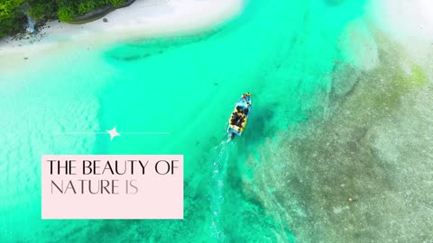 The beauty of nature is all around us