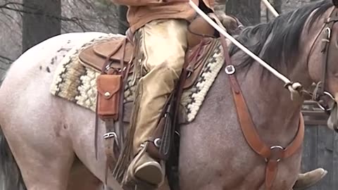 Keep Your Horse Straight.