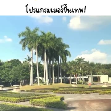 🤓 ใส่แล้วเหมือนโปรแกรมเมอร์ขั้นเทพ!