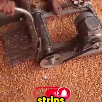 The Genius Behind This Relaxed Job – You Won’t Believe How Fast It Works!