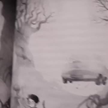 Exploring Spooky Spiders in the Forbidden Forest But In Spanish!