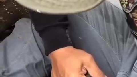 Careless boy walks on a dangerous trail in the woods and a snake attacks him