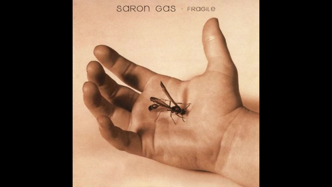 Seether (Saron Gas) - Fragile (2000)