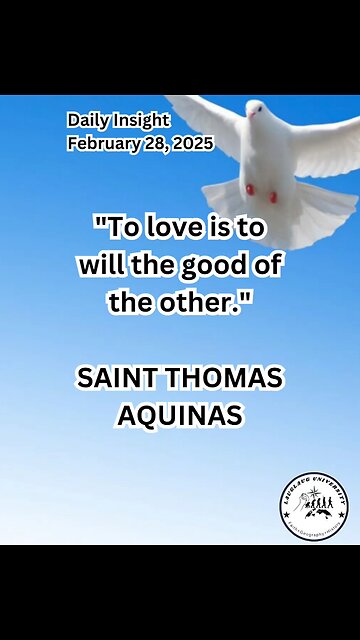 Daily Insight February 28, 2025