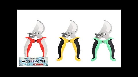 Pruner Garden Scissors Professional Sharp Bypass Pruning Shears Tree Trimmers Secateurs Hand Review