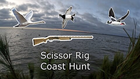 Scissor Rig Duck Hunt at the Coast