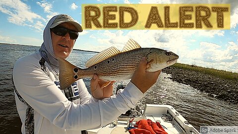 Awesome Redfish Day!
