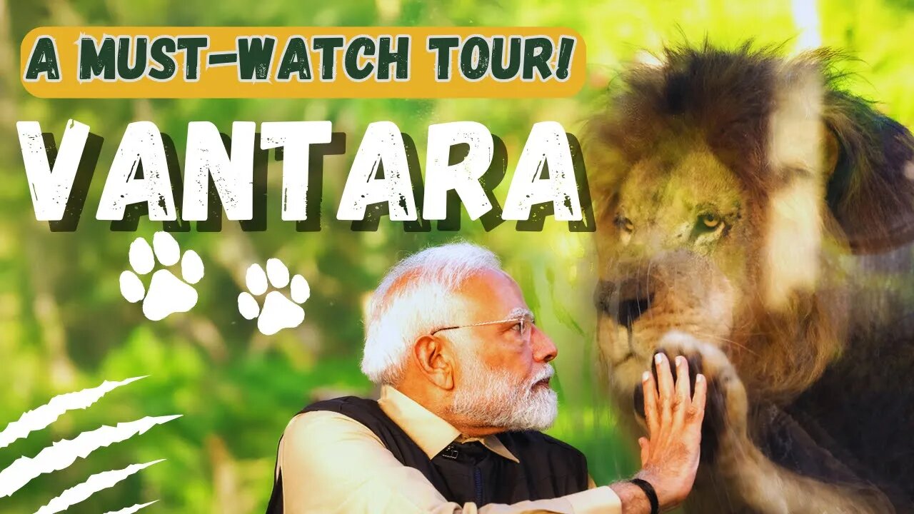 wild animals, #Worldlargest#Nationalpark #In India #Ambani,s #Property
