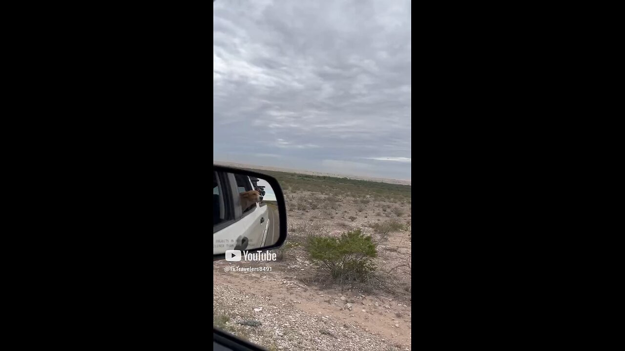 Driving Through New Mexico