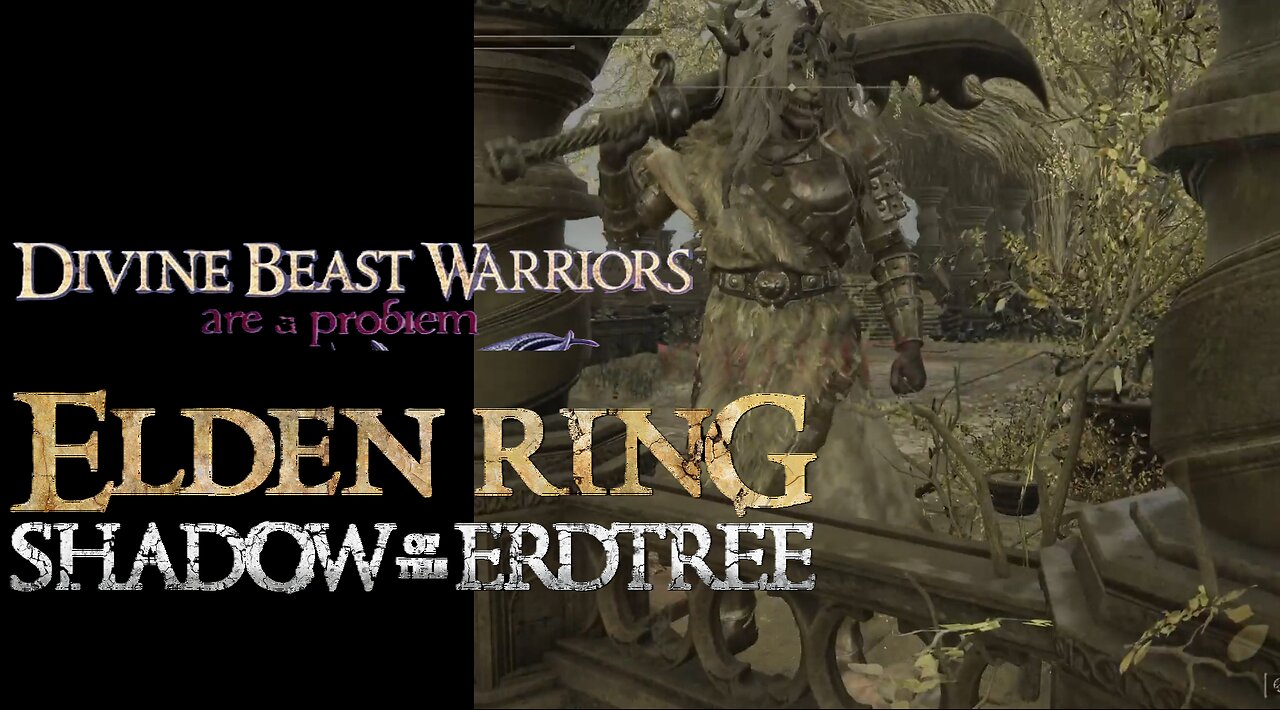 Divine Beast Warrior Problems | Elden Ring Shadow of the Erdtree