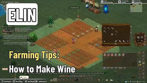 How To Make Wine, Beer and Money - ELIN Guide