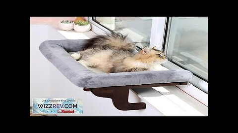 Cat Perch for Window Sill with Bolster Orthopedic Hammock Design Review