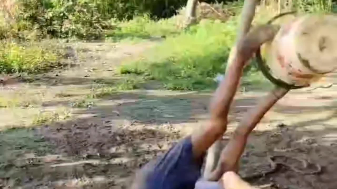 🥰🥰🤣#timelapse, start to finishalone build log cabin (wooden) #shortsfeed #shorts