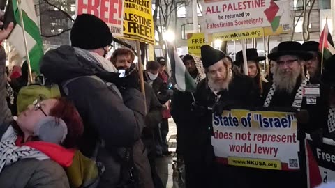 "HANDS OFF PALESTINE" say protestors in New York City. 4of5