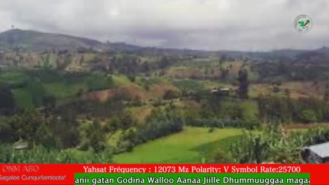 Oduu Waaree ONM-ABO Guraandhala 23 -2025 itti dhiyaadhaa!