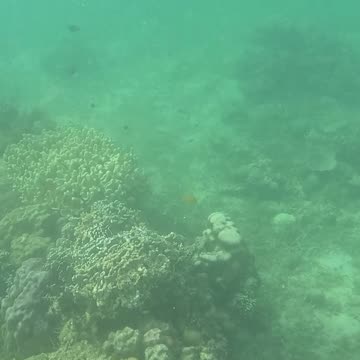 Snorkeling Morning!!