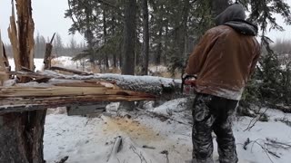 A Snowy Day On The Trapline + Another Lynx!