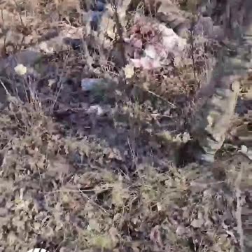 Ukrainian sabotage and reconnaissance group destroyed