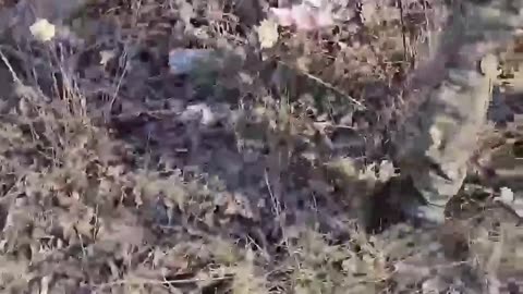Ukrainian sabotage and reconnaissance group destroyed