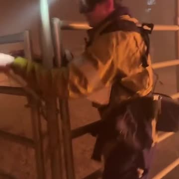 Firefighters in LA Save Horse From Farm Fire