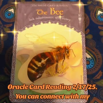 Oracle Card Reading 2/17/25