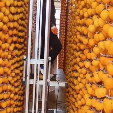 The traditional art of fruit drying.hd