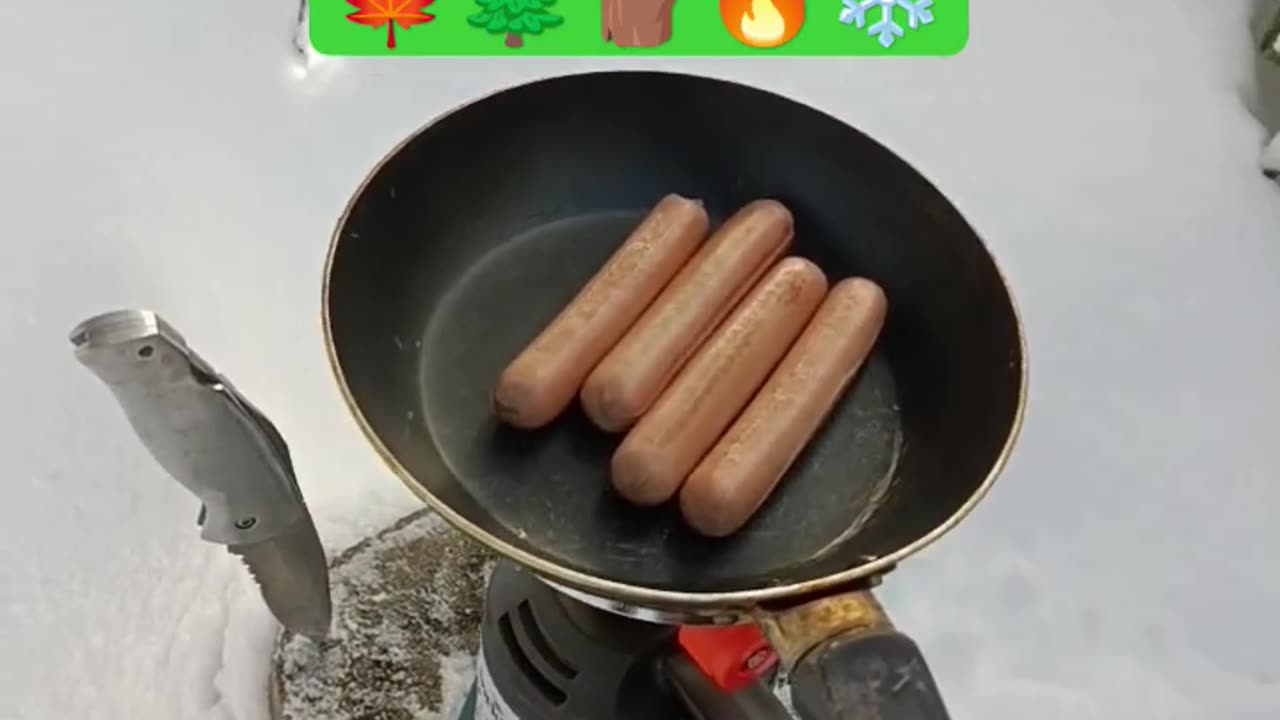Good sausage 🌭 for a good camping 🌭❄️🔥🪵🌲