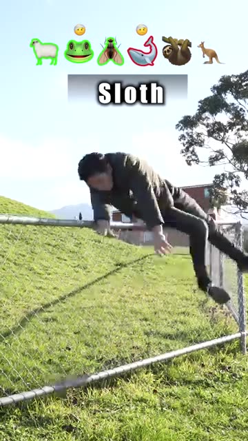 How Animals Get Over a Fence (With Emojis) 😂