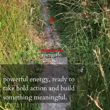 Explore Your Ability To Grow | Path and Tarot Reading