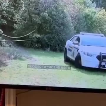 LARPers, dude! 🤣 #shorts