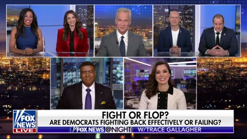 Democrats face criticism for recent protests and messaging failures