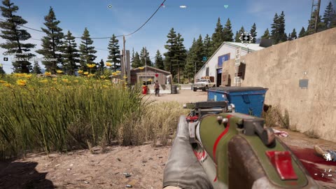 Far Cry 5, Just for Fun, co-op, pt.2