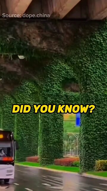 OverGrowth UnderPass