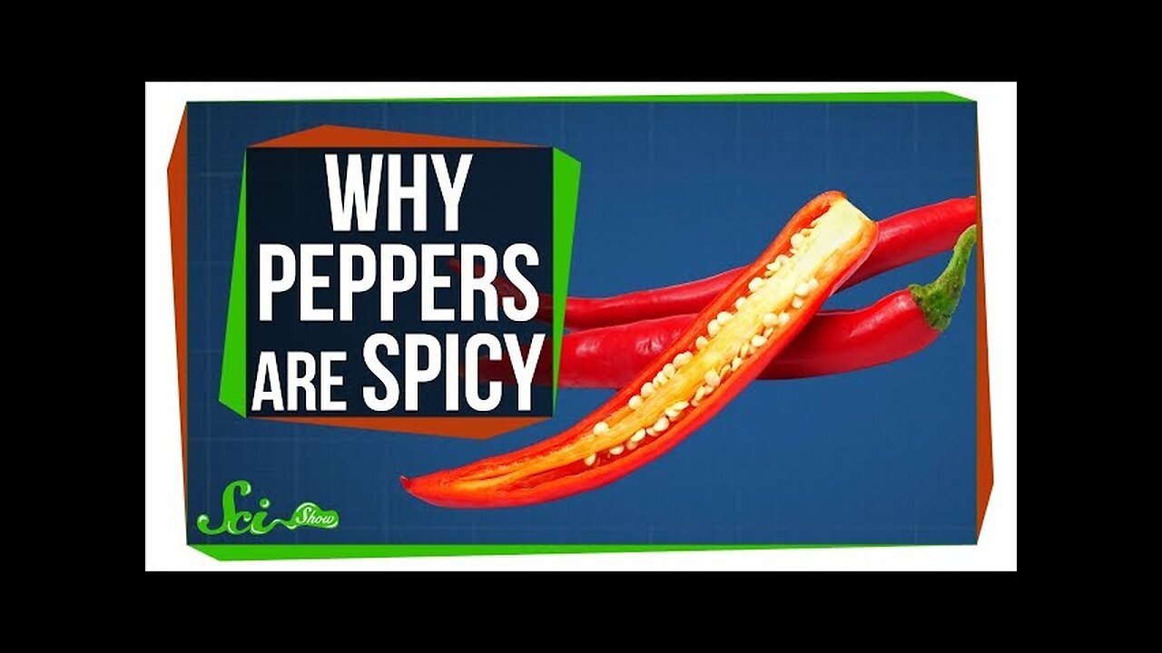 The Real Reason Peppers are Spicy