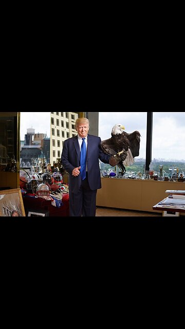 AMERICAN EAGLE IS BACK