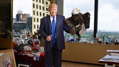 AMERICAN EAGLE IS BACK
