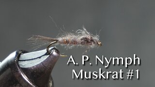 Tying the A. P. Nymph Muskrat #1 fly pattern