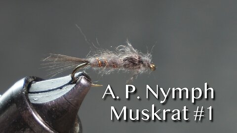 Tying the A. P. Nymph Muskrat #1 fly pattern